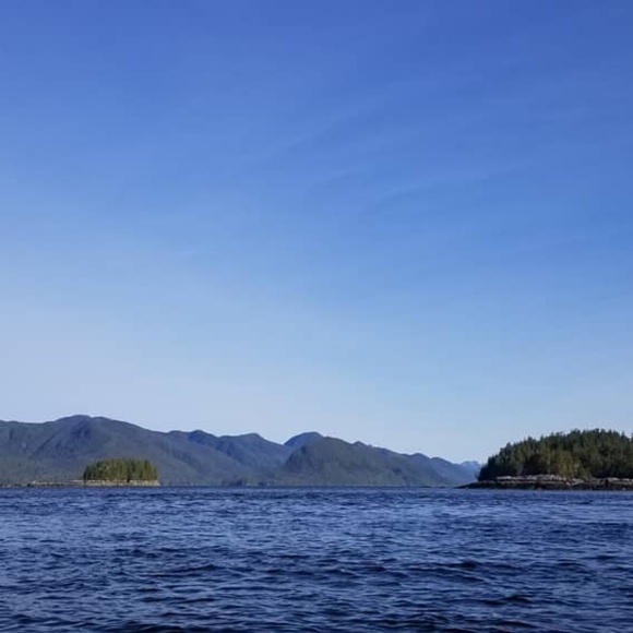 Meet your Posher, Chantal - Picture 1 of 1